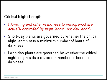 Critical Night Length