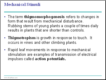 Mechanical Stimuli