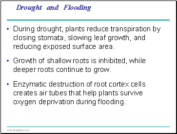 Drought and Flooding