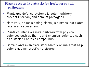 Plants respond to attacks by herbivores and pathogens