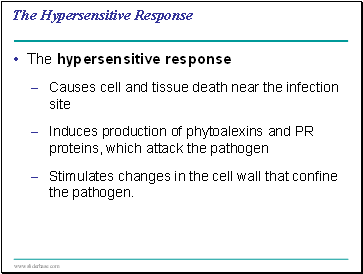 The Hypersensitive Response