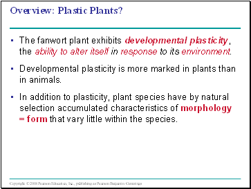 Plastic Plants?