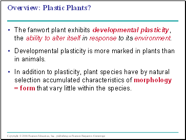 Plant Structure, Growth, and Development