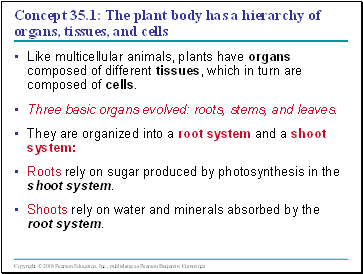 Concept 35.1: The plant body has a hierarchy of organs, tissues, and cells