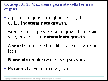 Concept 35.2: Meristems generate cells for new organs
