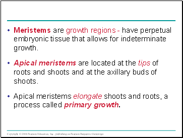 Meristems are growth regions - have perpetual embryonic tissue that allows for indeterminate growth.