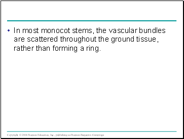 In most monocot stems, the vascular bundles are scattered throughout the ground tissue, rather than forming a ring.