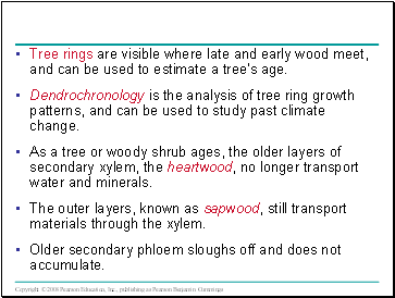 Tree rings are visible where late and early wood meet, and can be used to estimate a trees age.