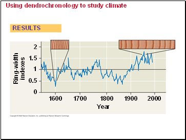 Using dendrochronology to study climate