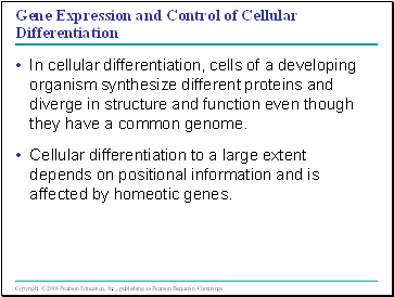 Gene Expression and Control of Cellular Differentiation