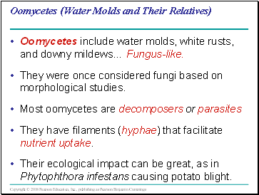 Oomycetes (Water Molds and Their Relatives)