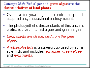 Concept 28.5: Red algae and green algae are the closest relatives of land plants