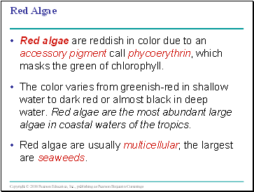 Red Algae