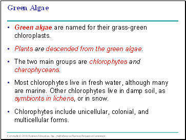 Green Algae