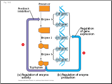 Fig. 18-2