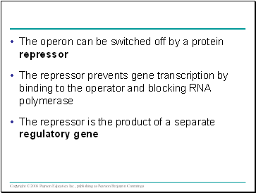 The operon can be switched off by a protein repressor