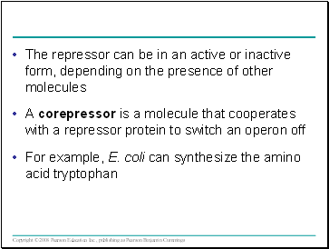 The repressor can be in an active or inactive form, depending on the presence of other molecules