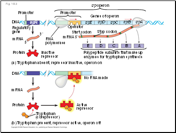 Fig. 18-3