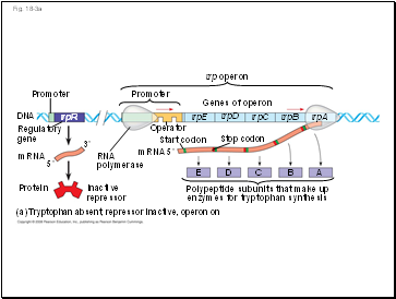 Fig. 18-3a