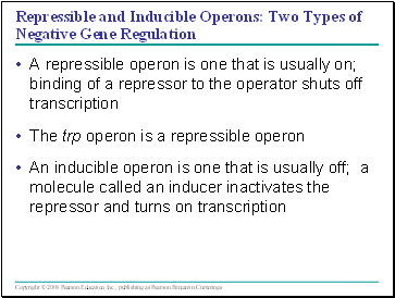 Repressible and Inducible Operons: Two Types of Negative Gene Regulation