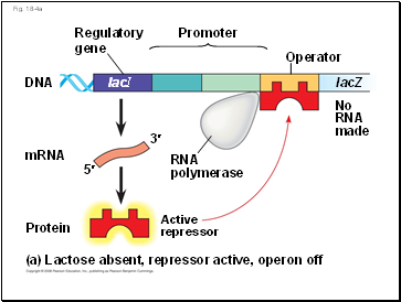 Fig. 18-4a