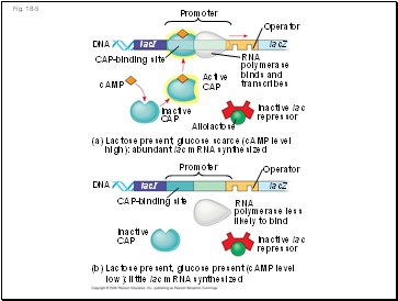 Fig. 18-5