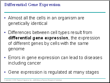 Differential Gene Expression