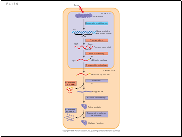 Fig. 18-6