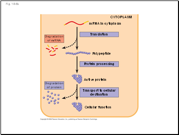 Fig. 18-6b