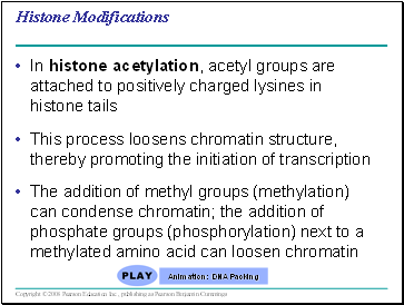 Histone Modifications