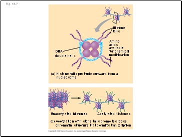 Fig. 18-7