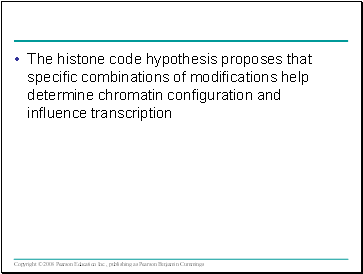 The histone code hypothesis proposes that specific combinations of modifications help determine chromatin configuration and influence transcription