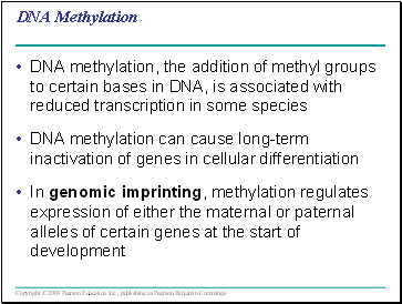 DNA Methylation