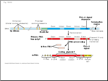 Fig. 18-8-3