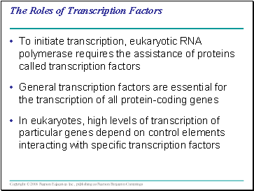 The Roles of Transcription Factors