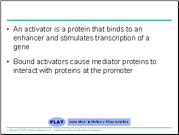An activator is a protein that binds to an enhancer and stimulates transcription of a gene