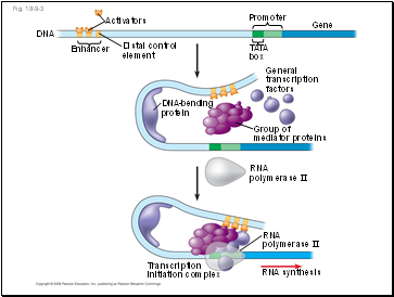 Fig. 18-9-3