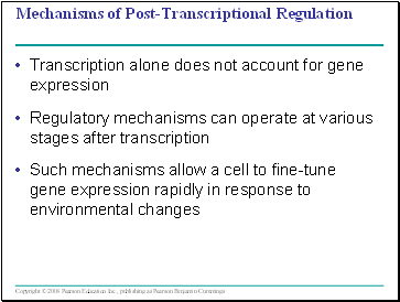 Mechanisms of Post-Transcriptional Regulation