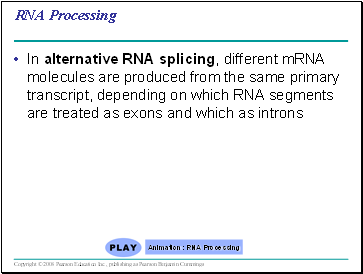 RNA Processing