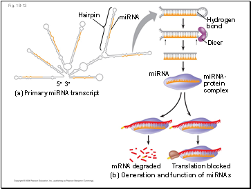 Fig. 18-13