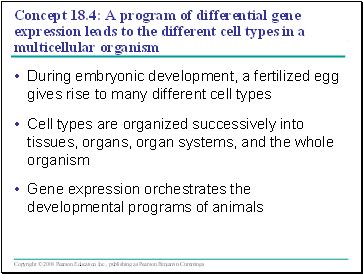 Concept 18.4: A program of differential gene expression leads to the different cell types in a multicellular organism