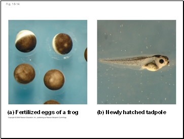 Fig. 18-14