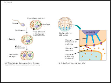 Fig. 18-15