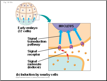 Fig. 18-15b