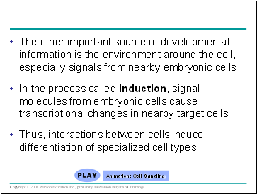 The other important source of developmental information is the environment around the cell, especially signals from nearby embryonic cells