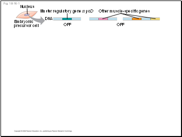 Fig. 18-16-1