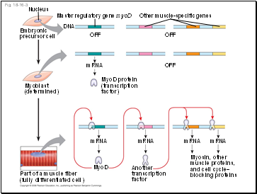 Fig. 18-16-3