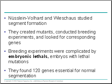 Nüsslein-Volhard and Wieschaus studied segment formation