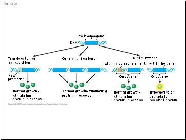 Fig. 18-20