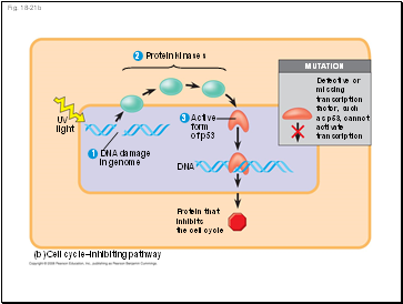 Fig. 18-21b